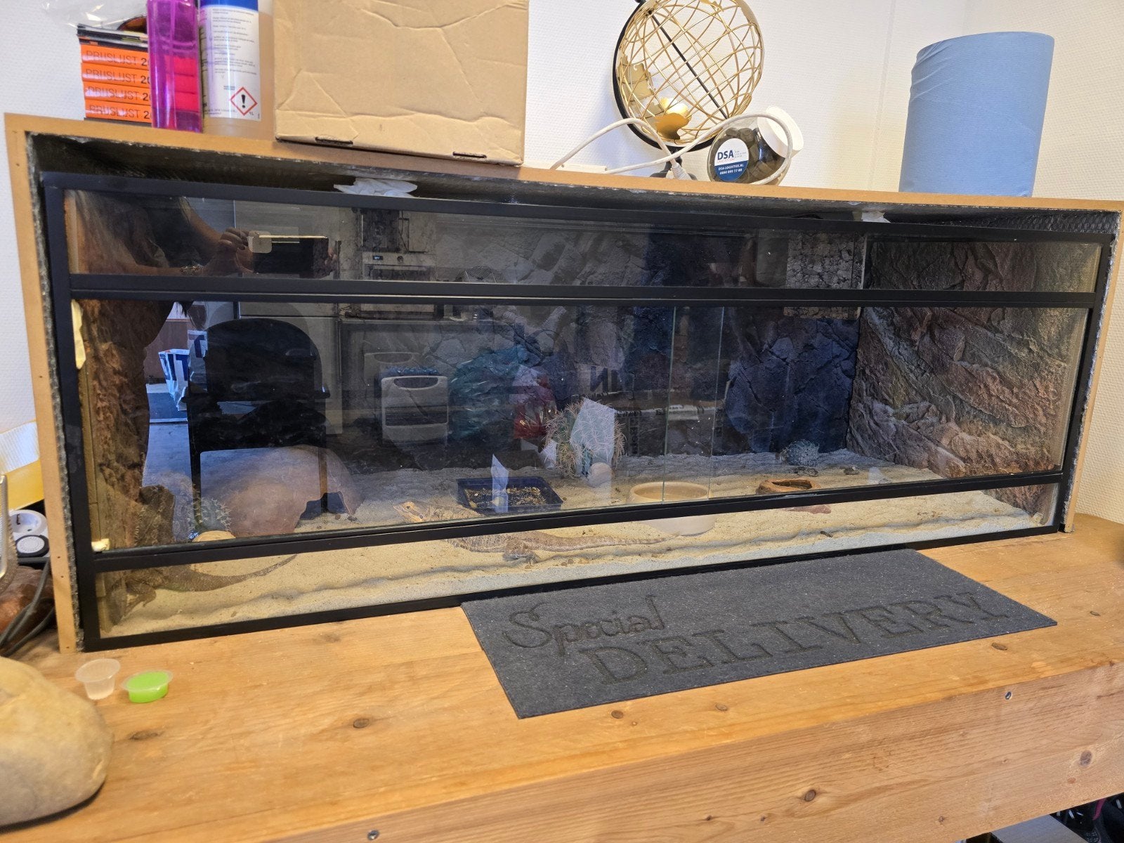 2 baardagamen incl terrarium en toebehoren, Ophalen