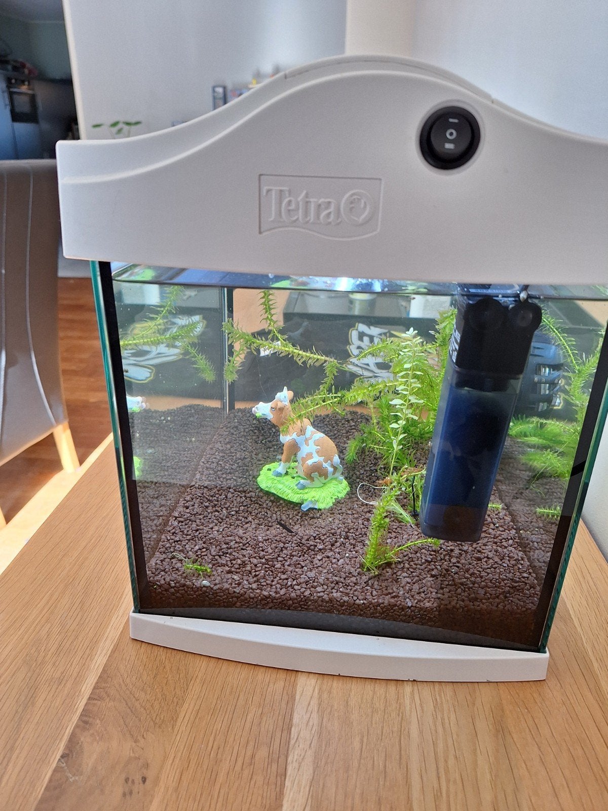 aquarium 18 liter, Ophalen, Zo goed als nieuw, Gevuld zoetwateraquarium