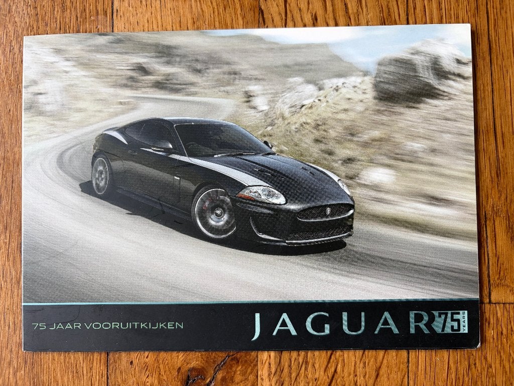 Jaguar, Ophalen of Verzenden, Nieuw, Overige merken, Jaguar
