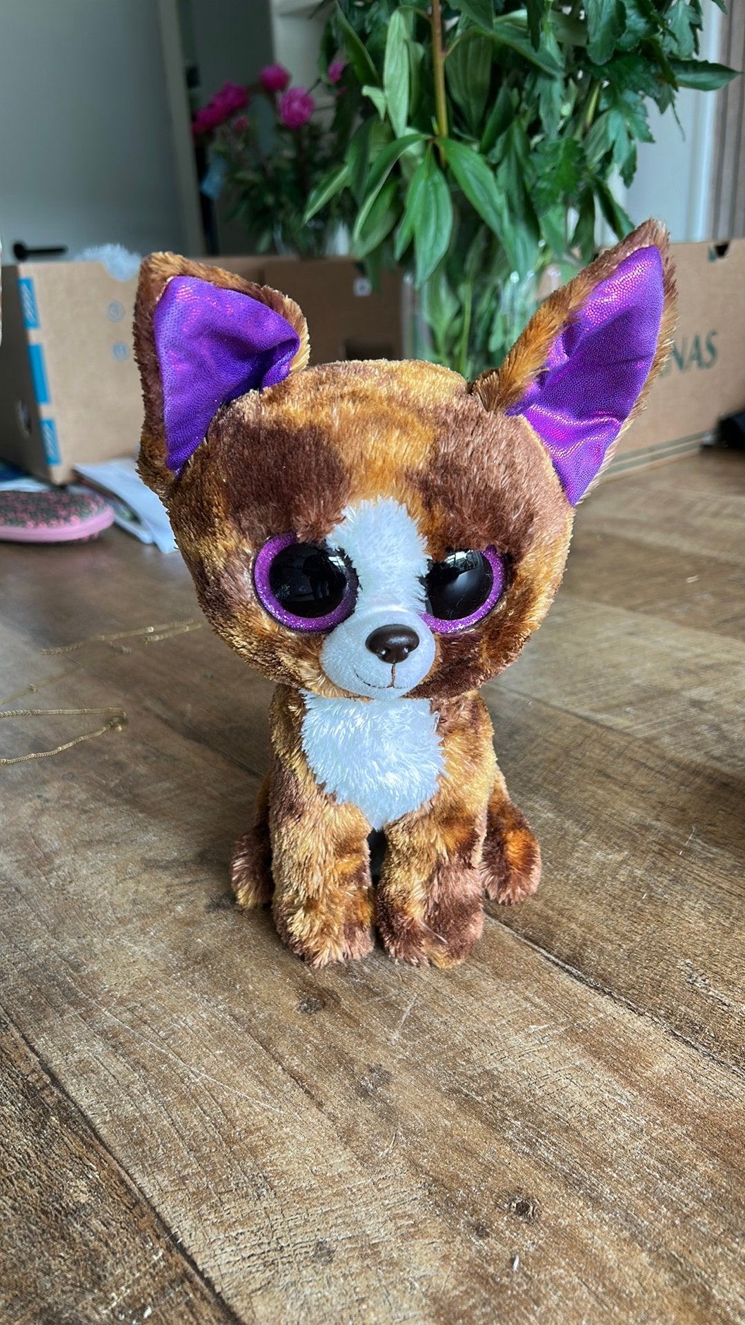 TY Dexter chihuahua, Zo goed als nieuw, Wasbaar, Klein (minder dan 20 cm), Bruin