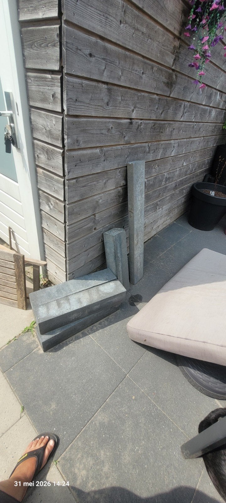 5 bielzen (ca. 45 cm) en 1 afsluitband - Gratis af te halen, Gebruikt, 25 tot 50 cm, Biels, Ophalen of Verzenden