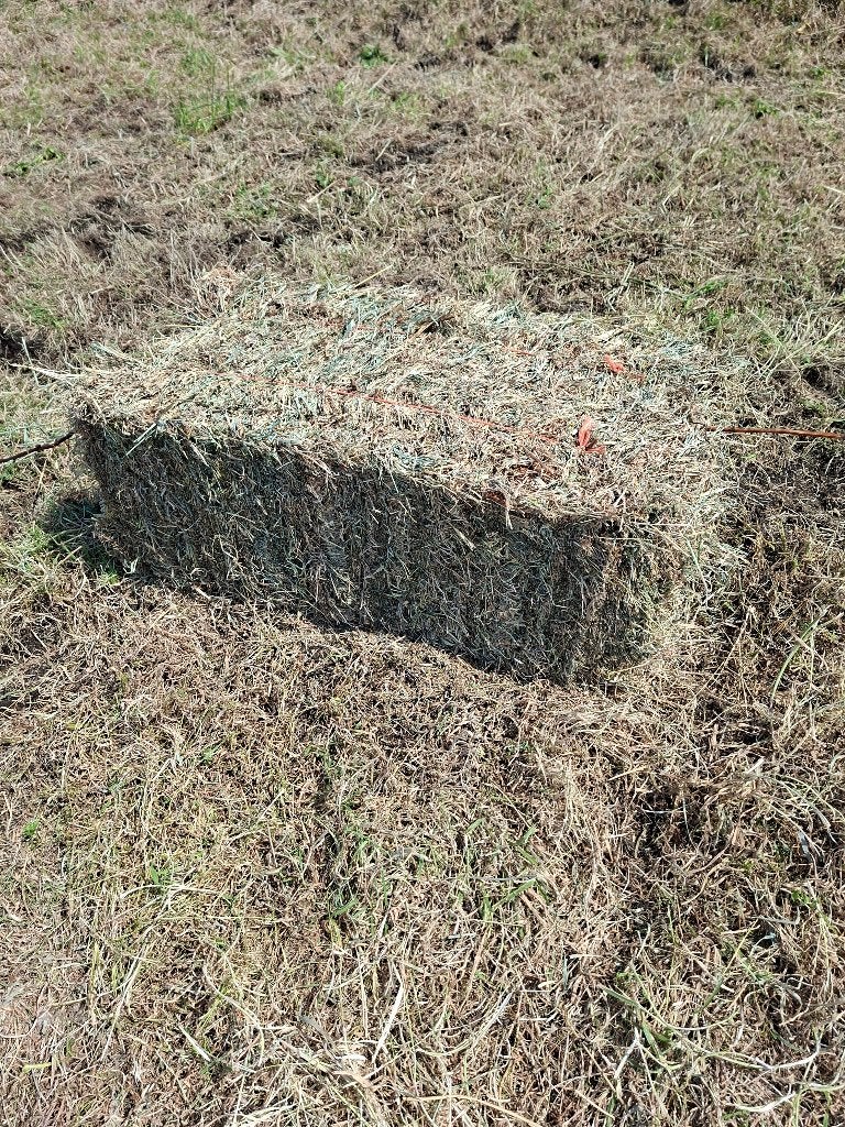 Te koop kleine Hooi balen, Ophalen, Vee