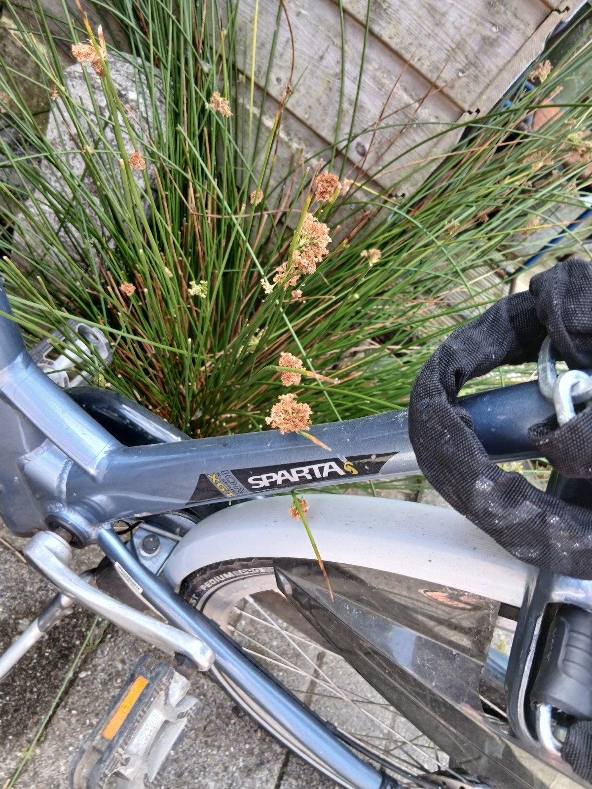 sparta, elektrische fiets., Ophalen, Gebruikt, Sparta