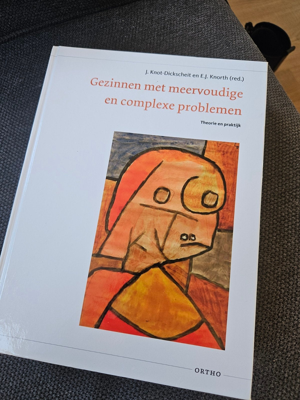 Studieboek Social Work: Gezinnen met complexe problemen, J. Knot-Dickscheit en E.J. Knorth (red.), Zo goed als nieuw, Gamma, HBO