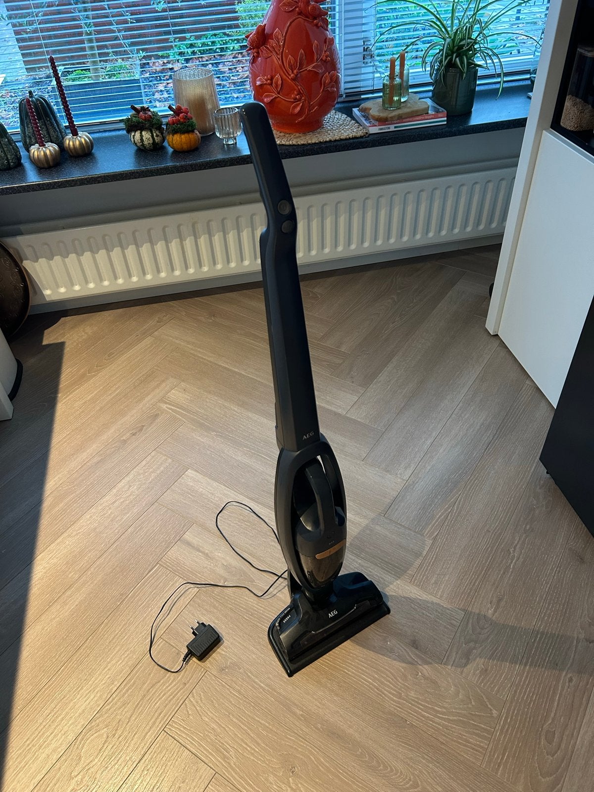 AEG QX6 Steelstofzuiger, Witgoed en Apparatuur, Ophalen, Gebruikt, Draadloos, Reservoir
