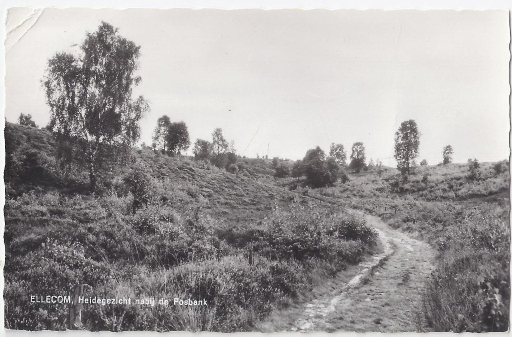 Ellecom Heidegezicht Oude Gelopen Ansichtkaart ( 631 ), Ophalen of Verzenden, 1940 tot 1960, Gelopen
