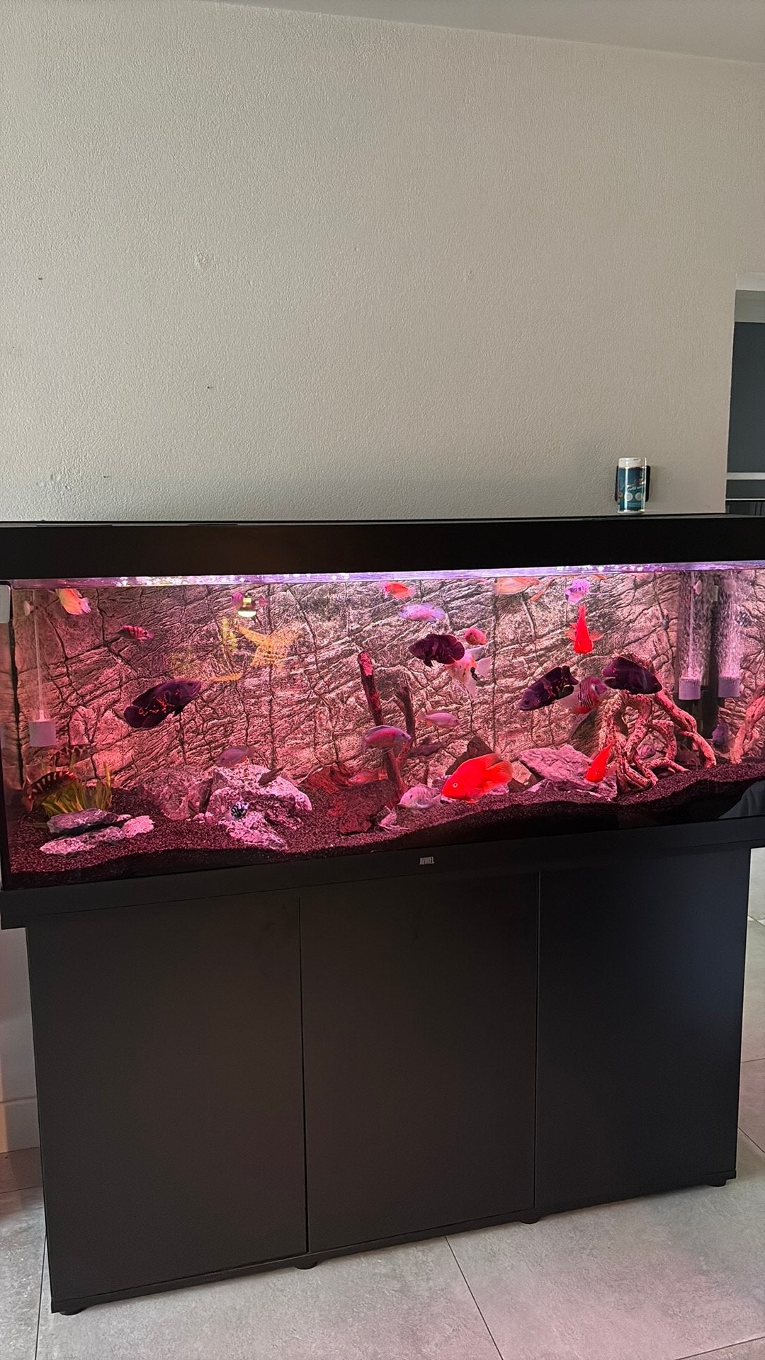 Aquarium juwel rio 450 liter zwart, Ophalen, Zo goed als nieuw, Leeg aquarium
