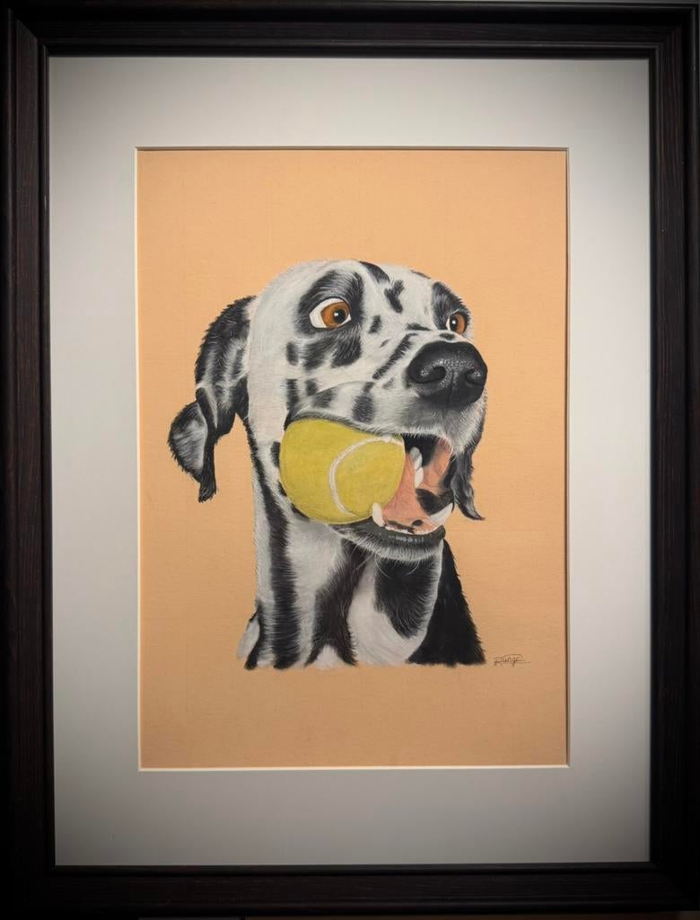 Pastel portret dalmatiër 30x40, Ophalen of Verzenden