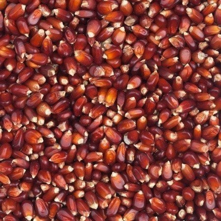 Bordeaux mais 20kg 35.00, Ophalen of Verzenden, Nieuw, Overige typen
