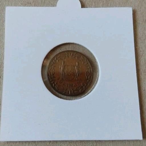 Suriname munt - 1 cent - brons 1972, Postzegels en Munten, Munten | Nederland, Ophalen of Verzenden, Koningin Juliana, 1 cent