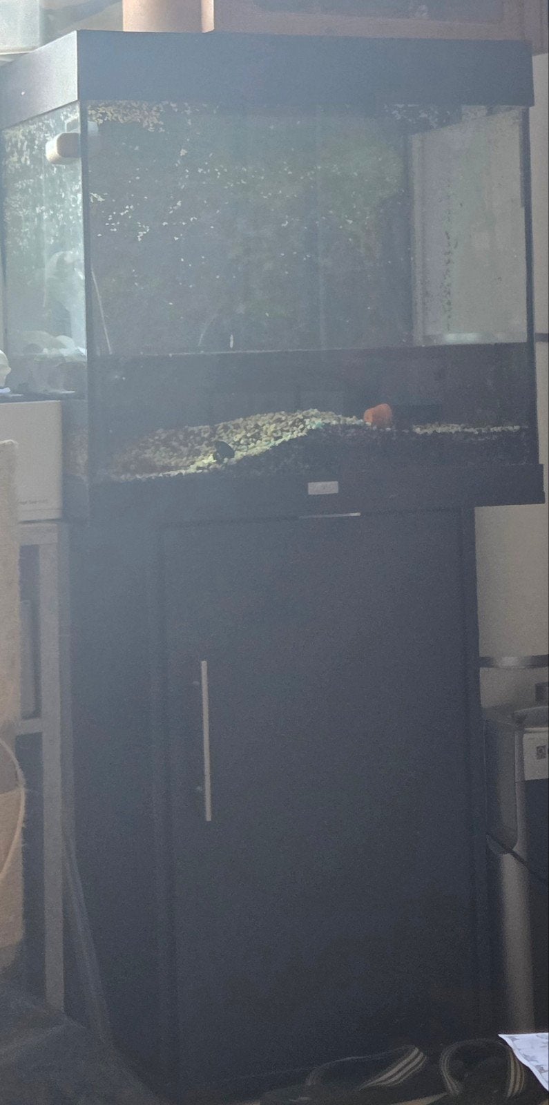 juwel lido 120, Dieren en Toebehoren, Ophalen, Leeg aquarium