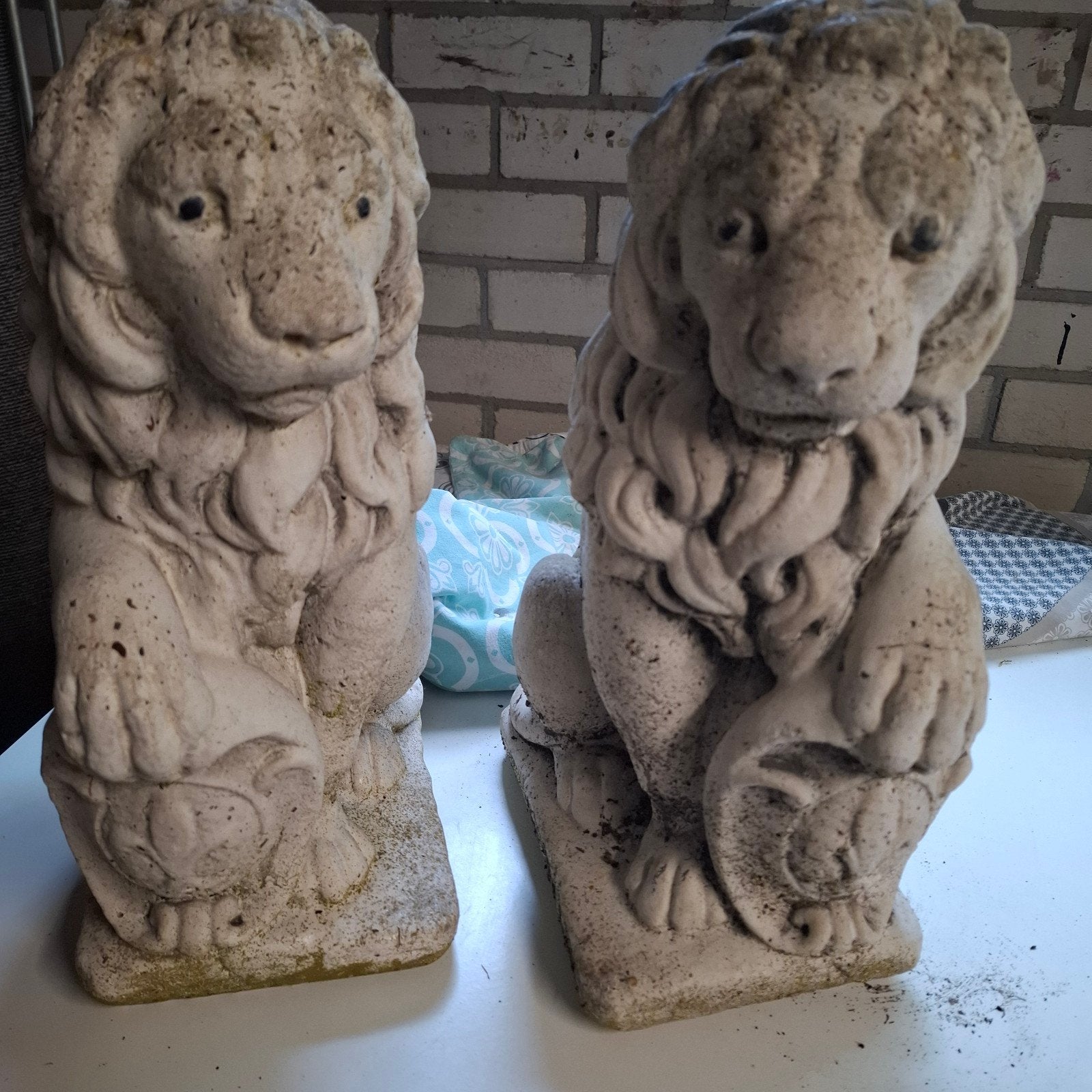 2 leeuwen tuinbeelden, Ophalen, Gebruikt, Beton, Dierenbeeld