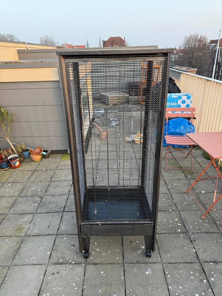 Mooie chique ratten/vogel kooi. Werkt uitstekend is schoon!, Ophalen, Kooi, Gebruikt, Minder dan 75 cm