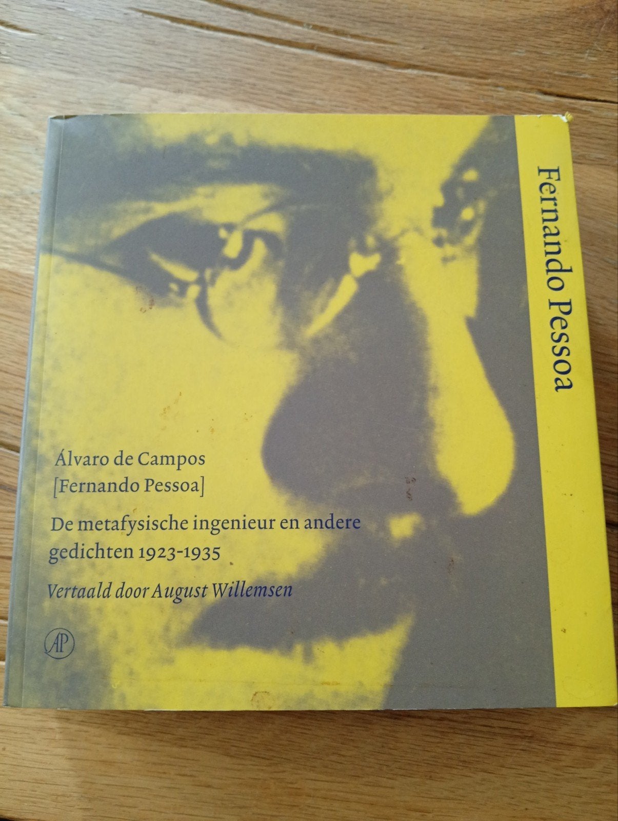 Fernando Pessoa - Alvaro de Campos metafyschisch gedichten, Boeken, Ophalen of Verzenden, Zo goed als nieuw, Fernando Pessoa, Europa overig