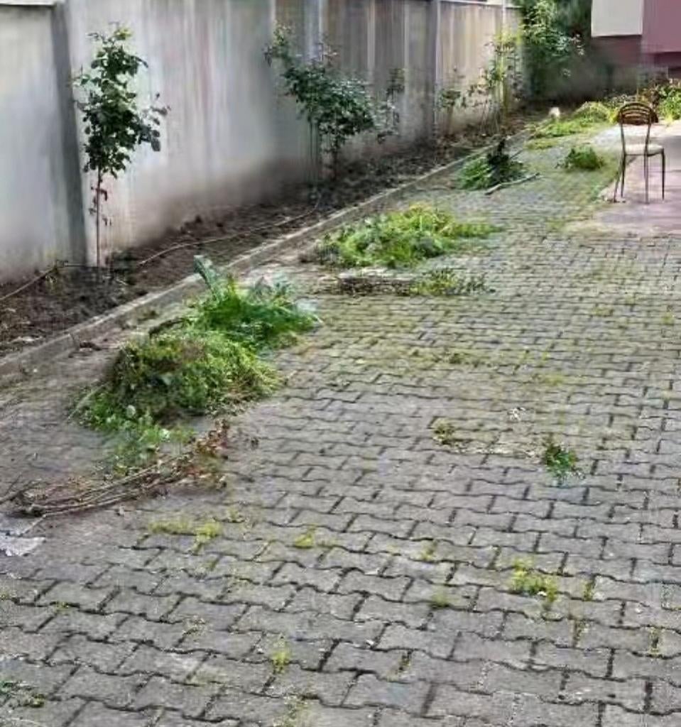 Tuinman Tuin/terras schoonmaken Aangeboden/Gezocht, Tuin en Terras, Overige Tuin en Terras, Ophalen of Verzenden