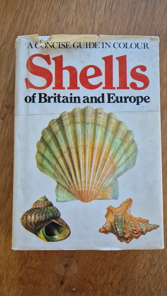 Schelpen van Groot-Brittannië en Europa - Gids in kleur, Boeken, Natuur, Ophalen of Verzenden, Gelezen, Natuur algemeen, Niet gespecificeerd op de cover