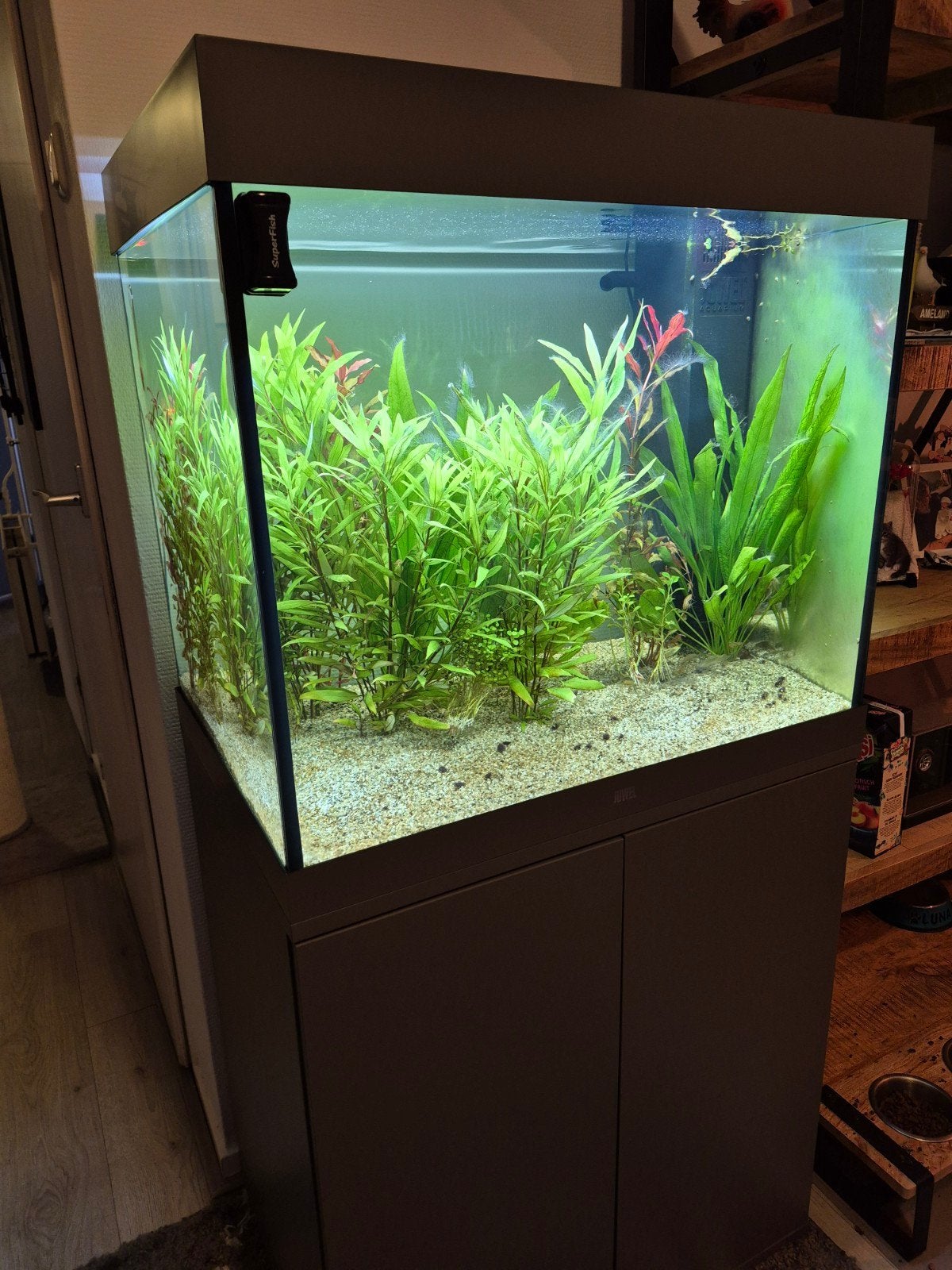 Juwel aquarium lido 200, Dieren en Toebehoren, Vissen | Aquaria en Toebehoren, Ophalen, Zo goed als nieuw, Leeg aquarium, Juwel