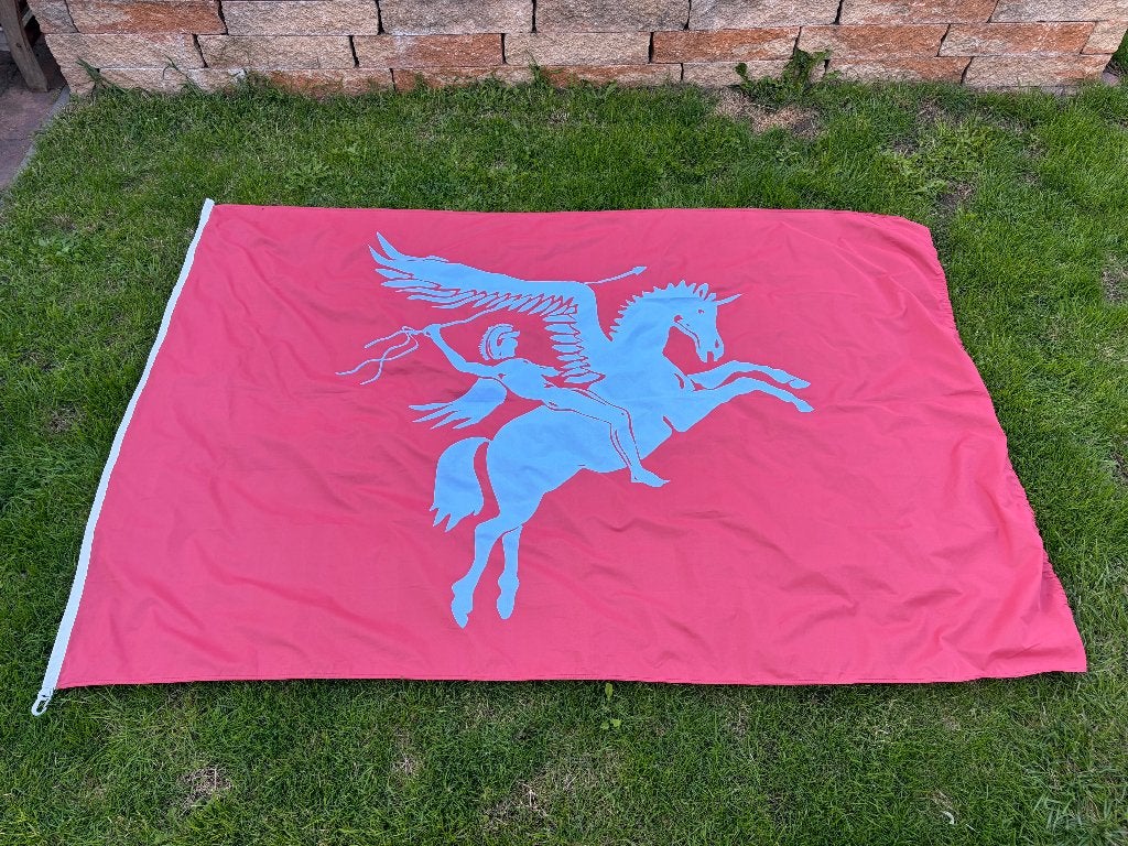 Airborne vlag 225x150 cm, Diversen, Vlaggen en Wimpels, Ophalen of Verzenden, Gebruikt