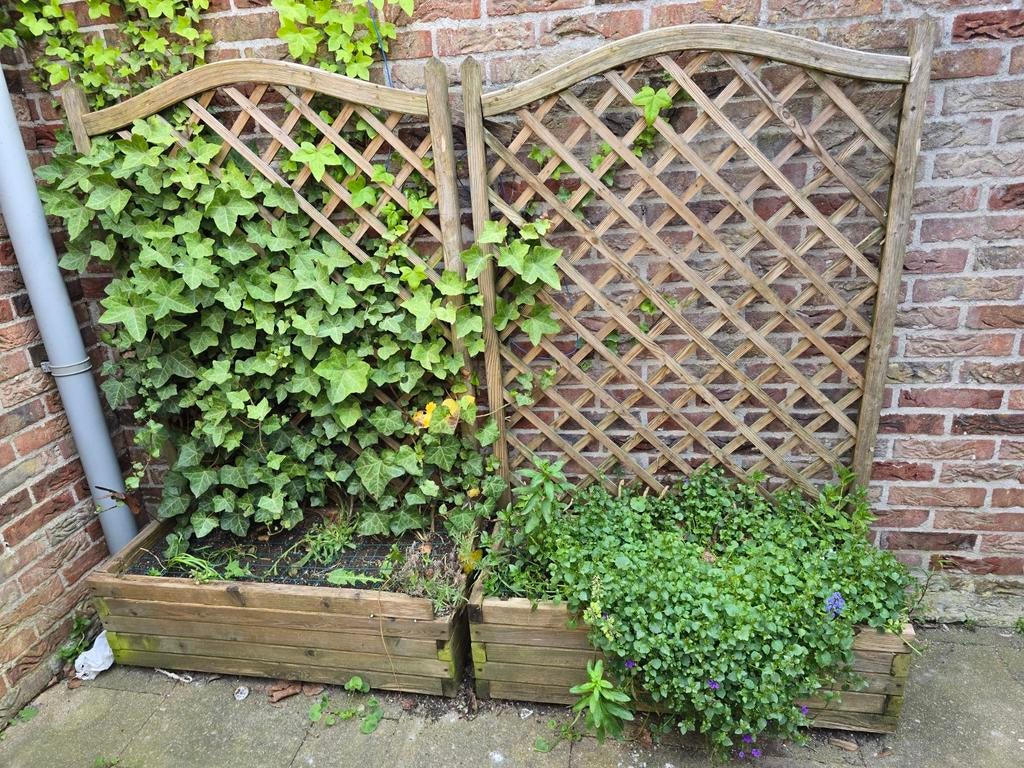 Houten plantenbakken met klimrek (2 stuks), Ophalen, Gebruikt, Balkon, 60 tot 100 cm