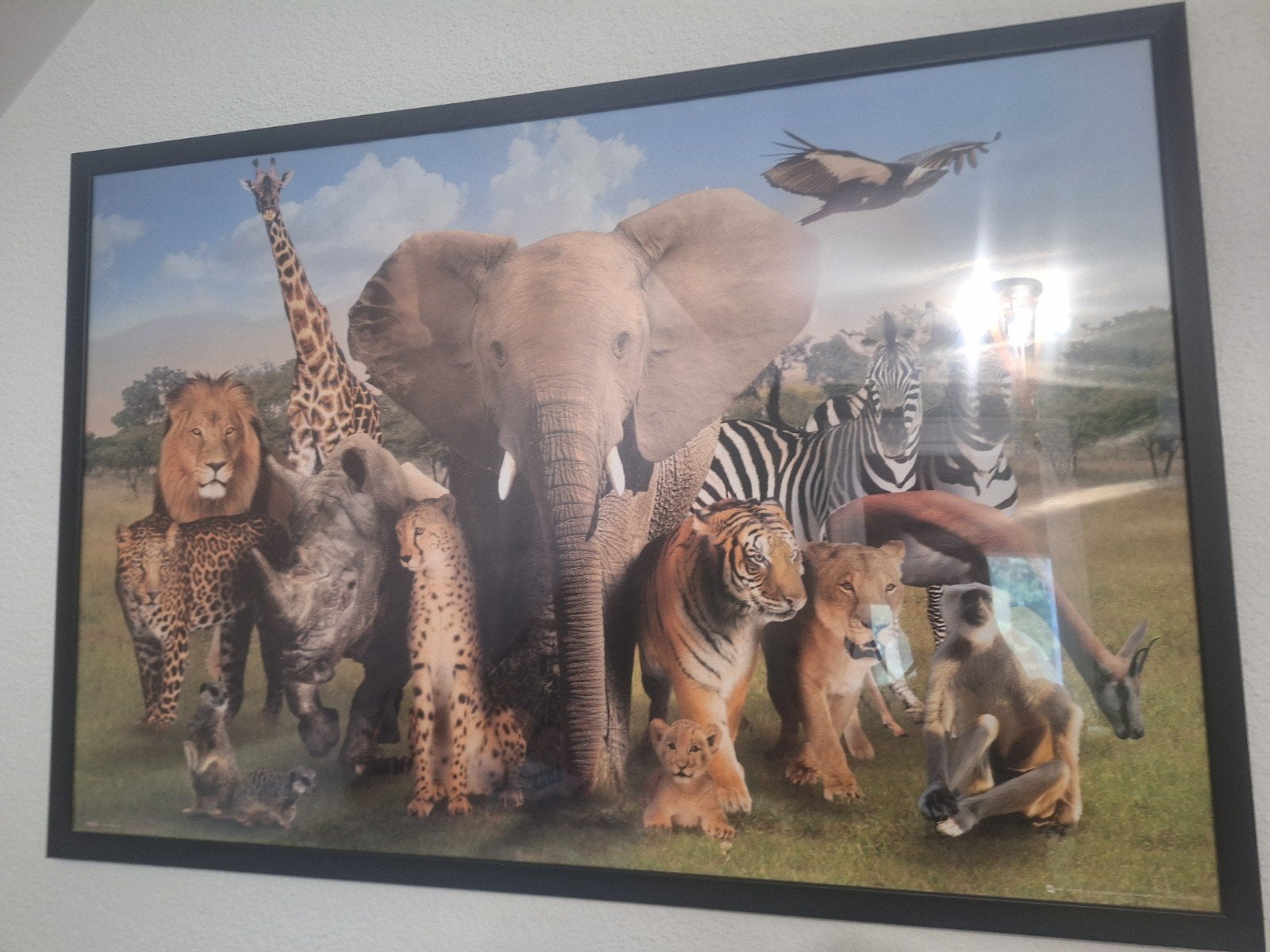 schilderij dieren, Huis en Inrichting, Woonaccessoires | Schilderijen, Tekeningen en Foto's, Ophalen, Zo goed als nieuw, Schilderij