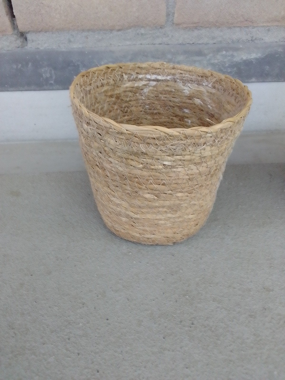 Plantenpot, Ophalen of Verzenden, Halfschaduw, Minder dan 100 cm