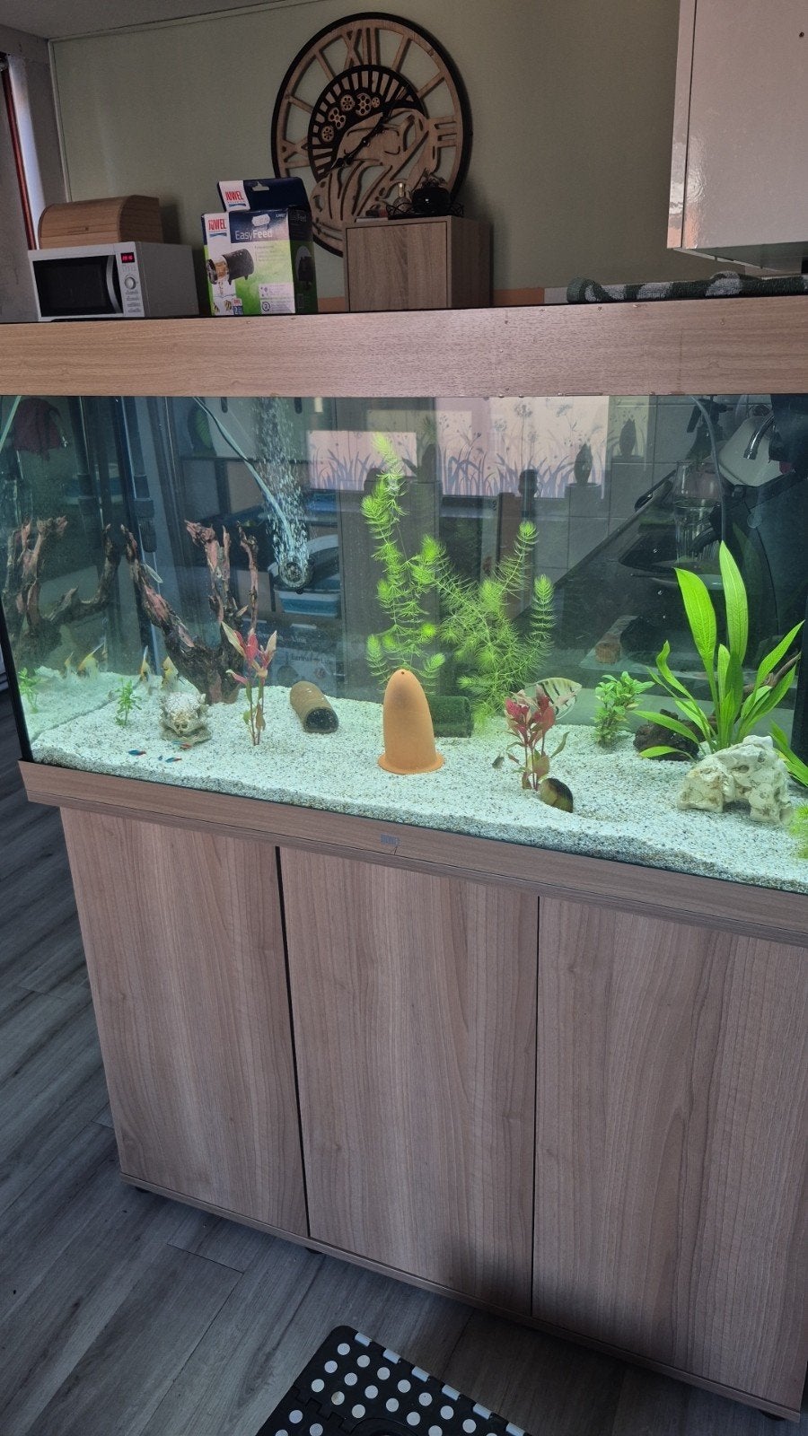 te koop aquarium 120cm lang, Dieren en Toebehoren, Vissen | Aquaria en Toebehoren, Ophalen, Zo goed als nieuw, Gevuld zoetwateraquarium