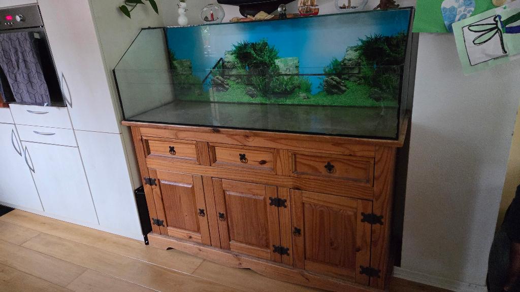 Schildpadden aquarium 1505030, Dieren en Toebehoren, Reptielen en Amfibieën, Schildpad, 7 tot 10 jaar