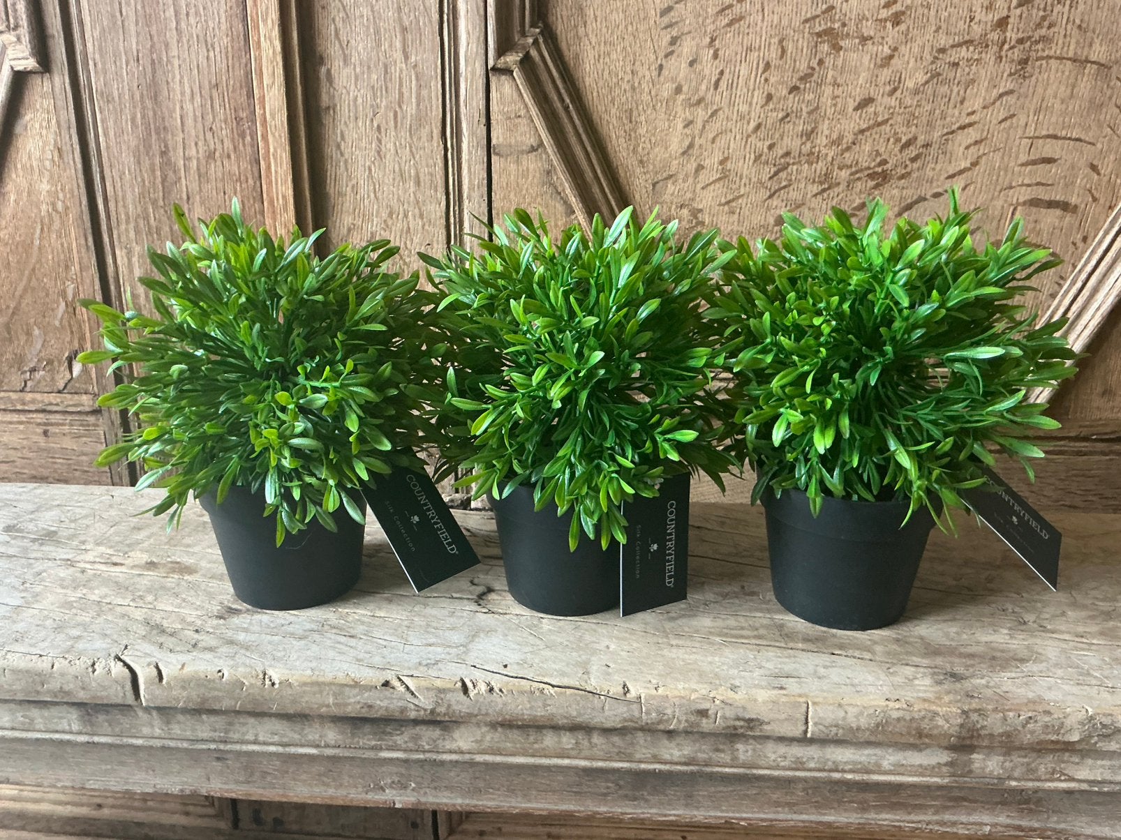 NIEUW set van 3 Countryfu=ield buxus kunstplantjes, Ophalen of Verzenden, Nieuw