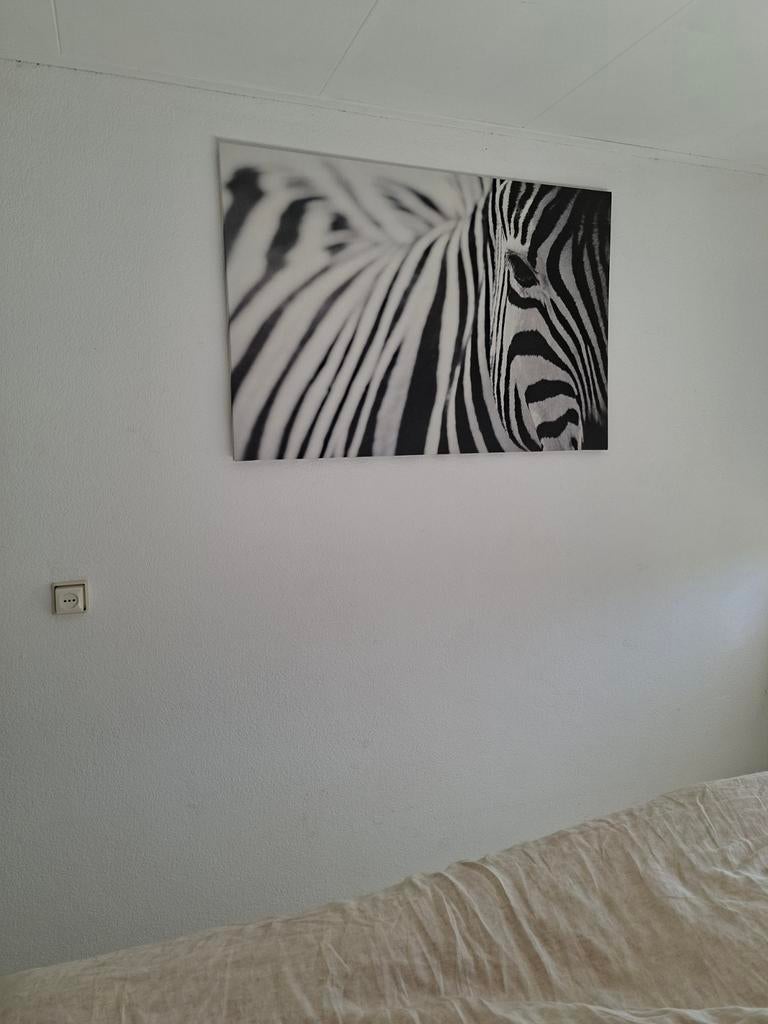 Canvas schilderij zebra 78x118cm - IKEA PJÄTTERYD, Huis en Inrichting, Woonaccessoires | Schilderijen, Tekeningen en Foto's, Ophalen of Verzenden
