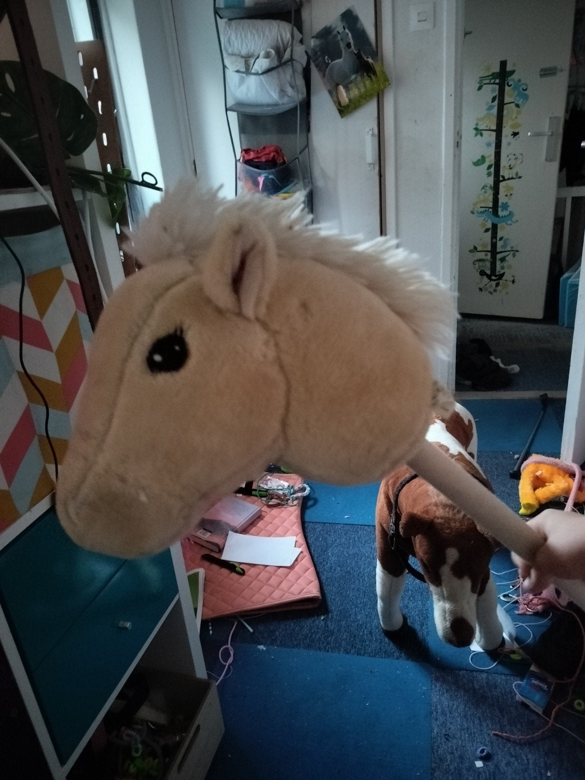 Hobbyhorse / Stokpaardje, Ophalen, Gebruikt, Jongen of Meisje