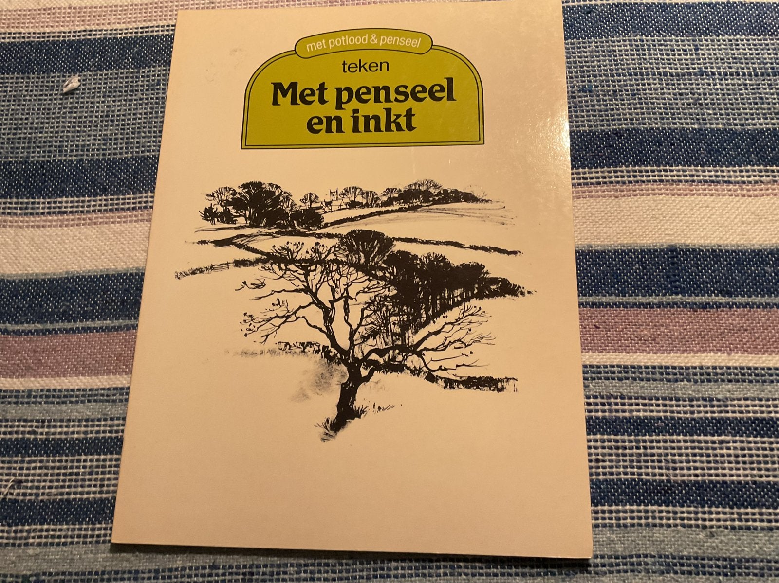 Tekenboek: Met penseel en inkt - Teken met potlood & penseel, Ophalen of Verzenden, Gebruikt, Boek of Gids