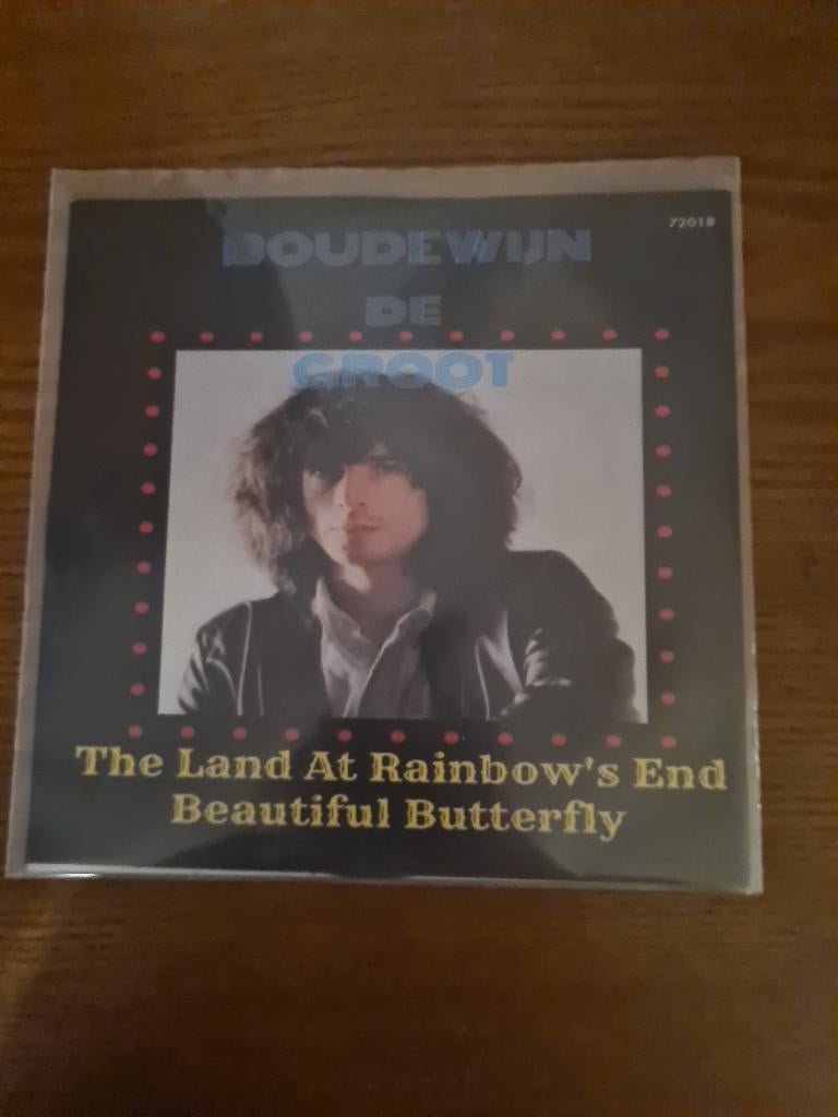 Boudewijn  De Groot, Cd's en Dvd's, Vinyl | Nederlandstalig, Ophalen of Verzenden, Zo goed als nieuw, Overige formaten, Levenslied of Smartlap