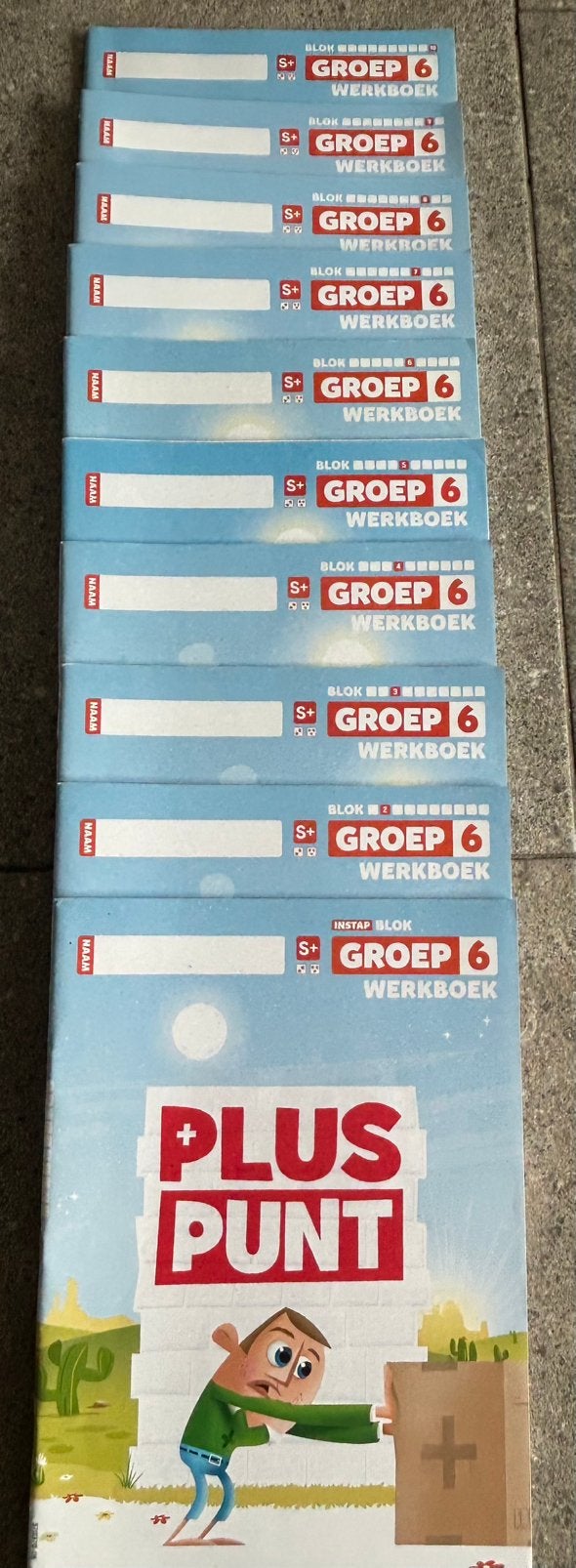 Pluspunt groep 6, Ophalen of Verzenden, Zo goed als nieuw
