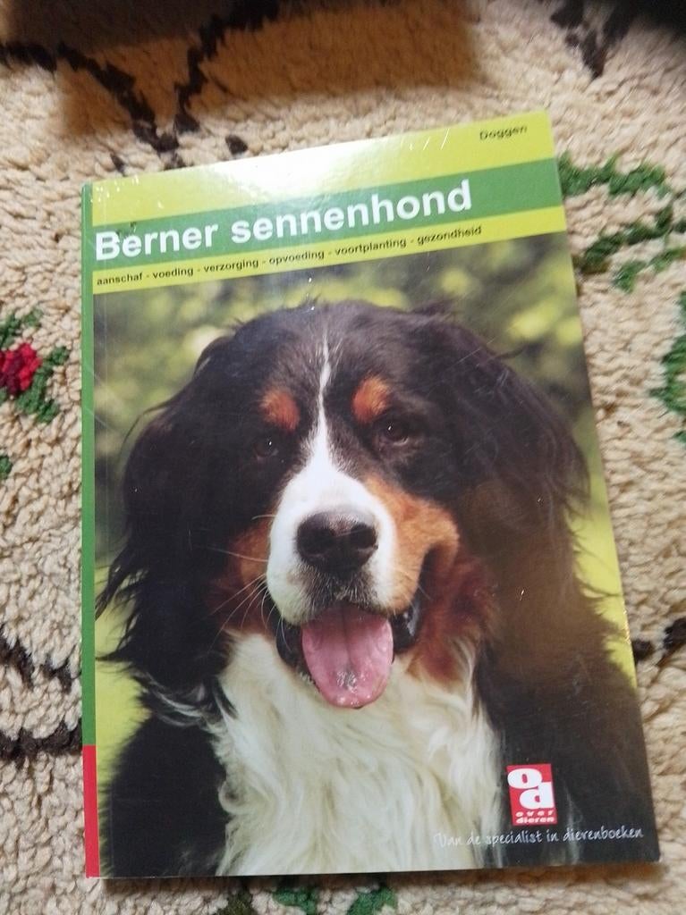 Boek Berner sennenhond, Ophalen of Verzenden