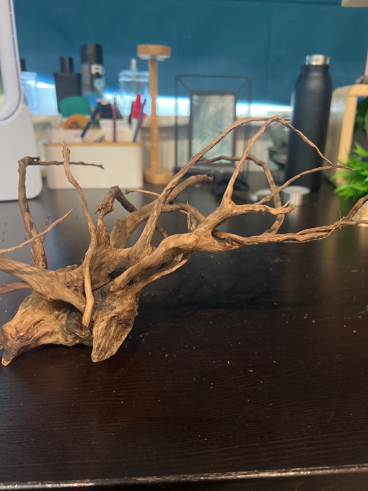 Aquarium hout, Ophalen of Verzenden, Plant(en), Steen of Hout