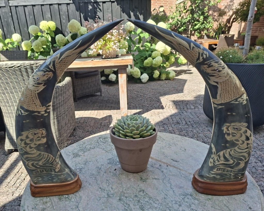 Decoratieve buffelhoorns met tijgergravures, 30 cm, Oosters, 40 cm, Verzenden