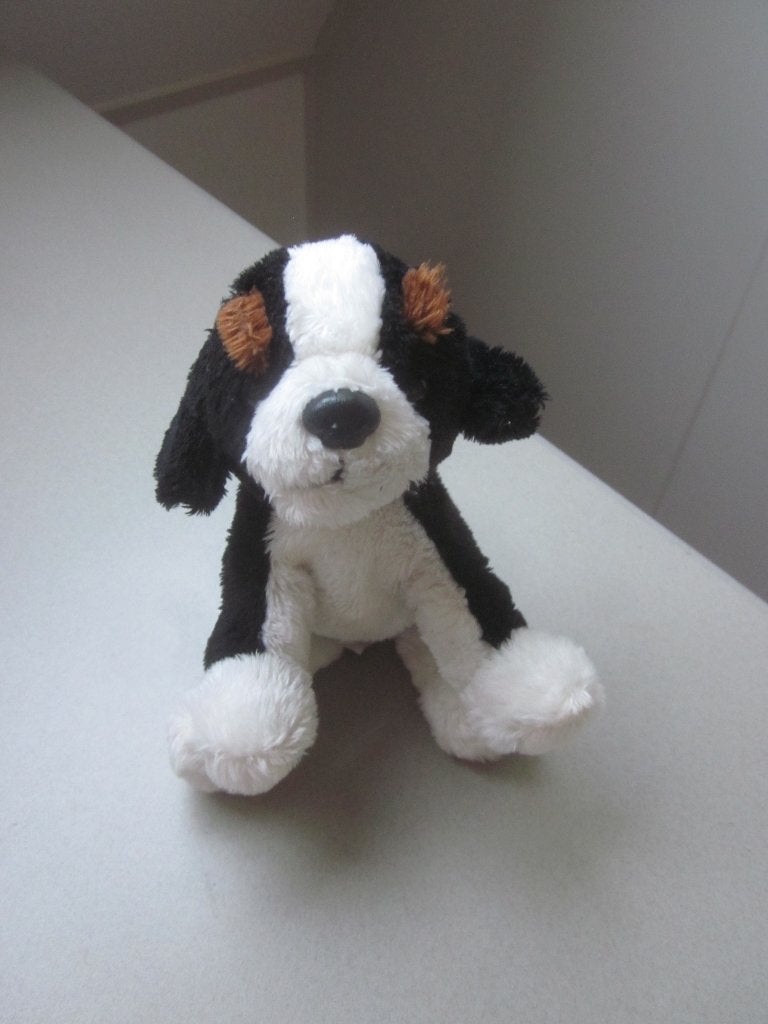 PAWS by Dinotoys zwart-wit-bruin zacht pluche hond Bernhard?, Kinderen en Baby's, Overige merken, Overige karakters, Korrelvulling