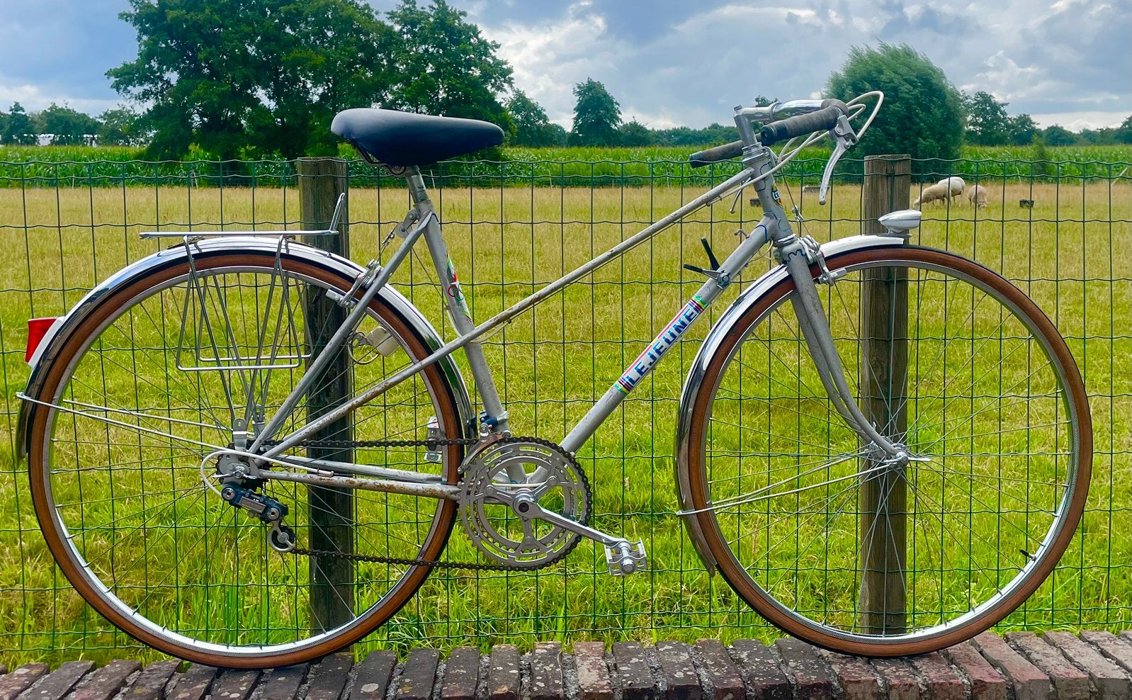 Vintage LeJeune mixte damesfiets, Minder dan 10 versnellingen, Gebruikt, 50 tot 53 cm, Ophalen