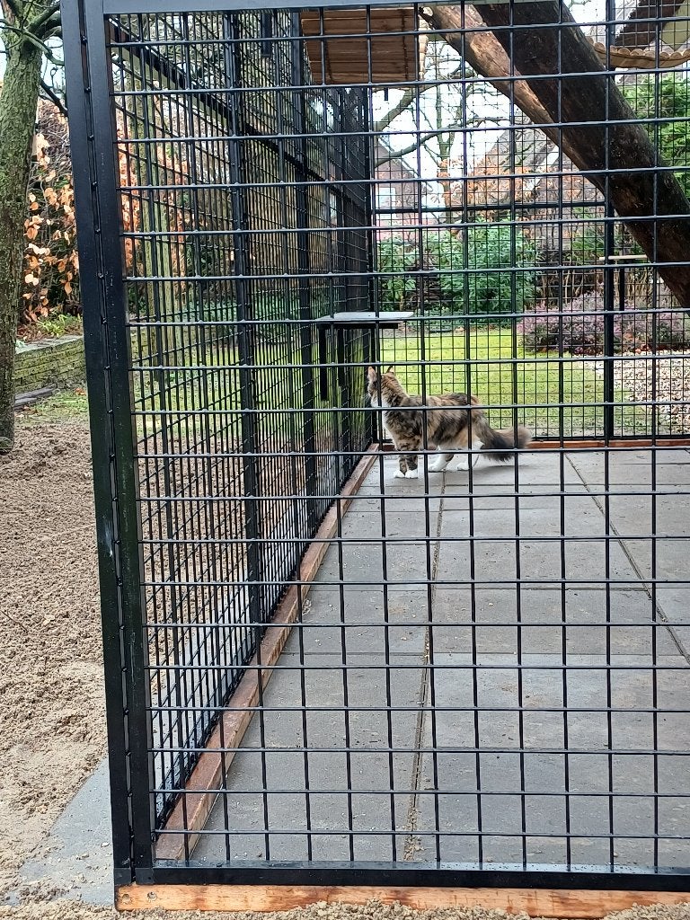 Kattenren Leiderdorp | Maatwerk | Duurzame materialen, Dieren en Toebehoren, Ophalen, Nieuw