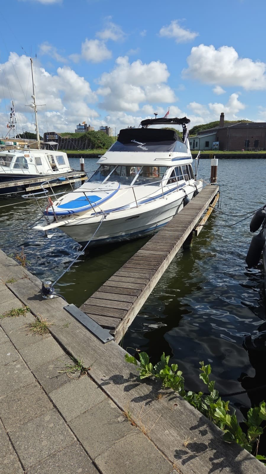 bayliner, Ophalen of Verzenden, Motor en Techniek, Motorboot