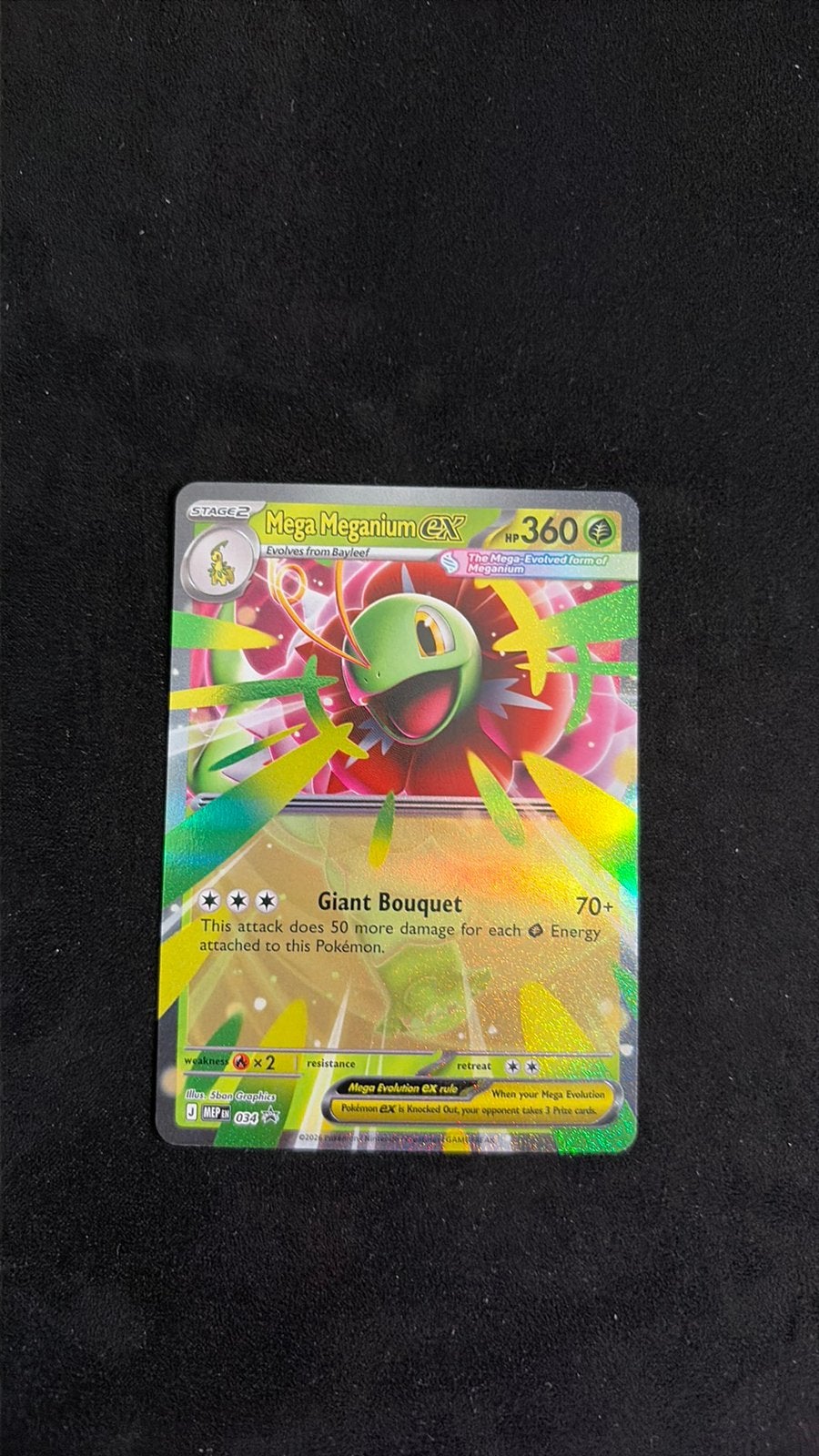 Mega Meganium ex Promo MEP034, Ophalen of Verzenden, Zo goed als nieuw