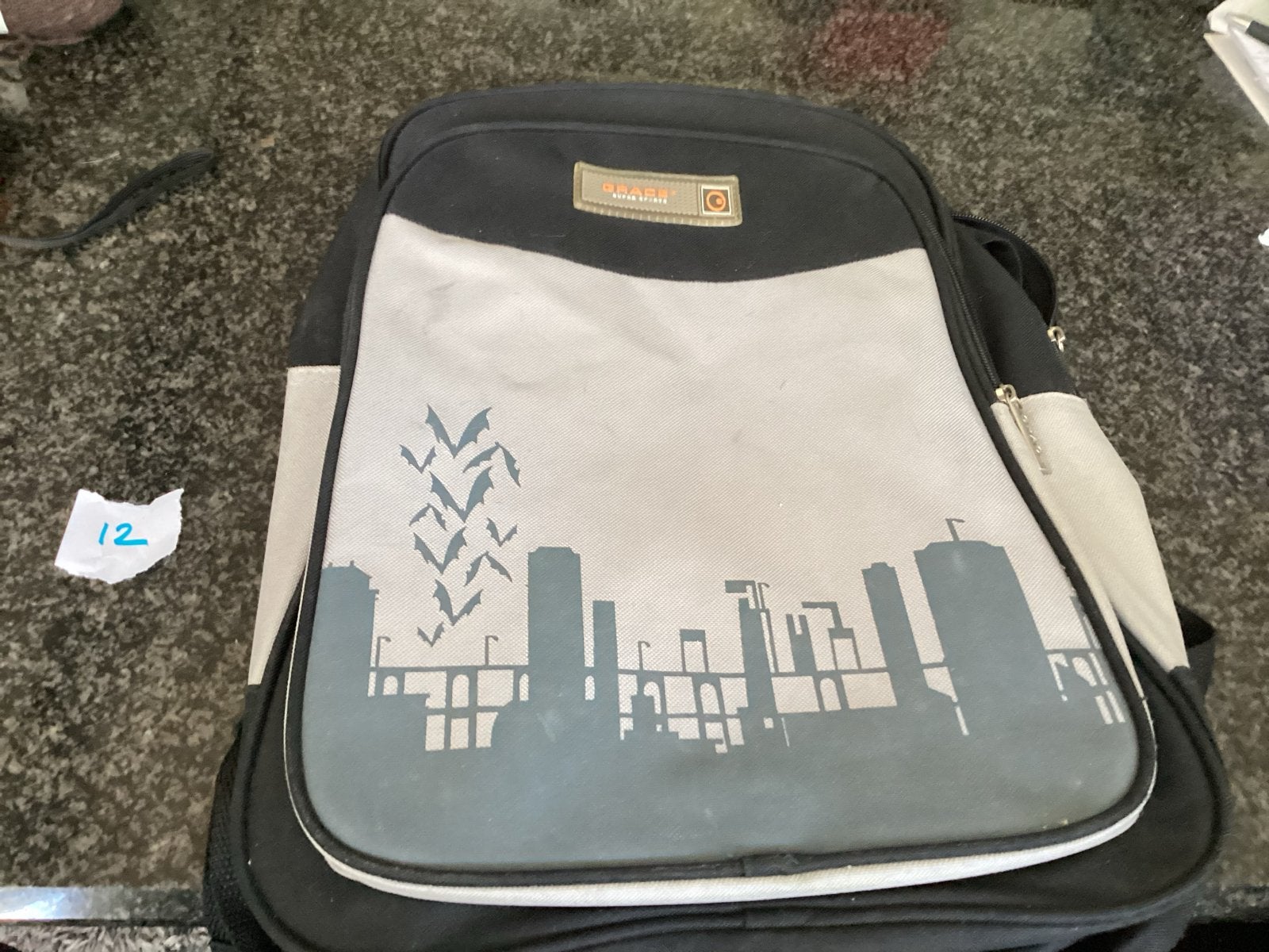 Grace Super Sports Rugzak met Stadsgezicht en Vleermuizen, Sieraden, Tassen en Uiterlijk, Ophalen of Verzenden, Gebruikt, 25 tot 40 cm