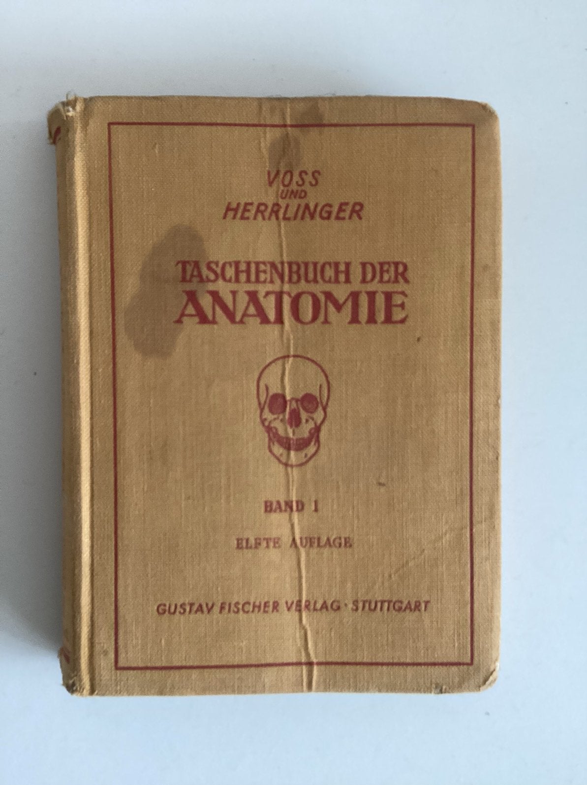 Duits medische leerboek Taschenbuch der Anatomie (Band 1), Boeken, Studieboeken en Cursussen, Ophalen of Verzenden, Beta, Gelezen
