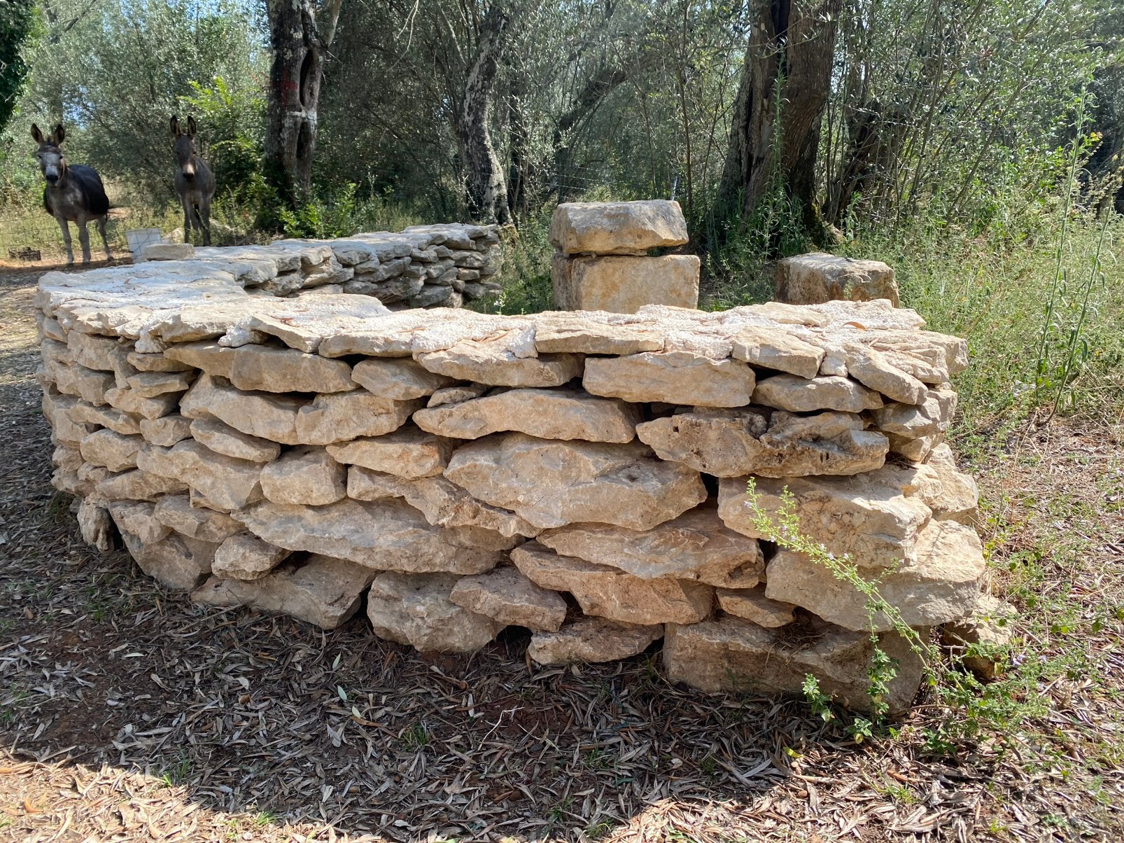 GEZOCHT: stapelstenen / flagstones, Tuin en Terras, Grind, Keien en Split, Ophalen of Verzenden
