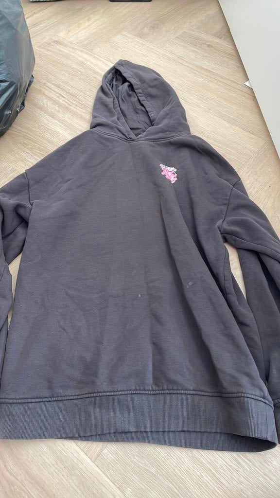 The sting lang hoodie, Ophalen of Verzenden, Gedragen, Maat 46 (S) of kleiner, Grijs