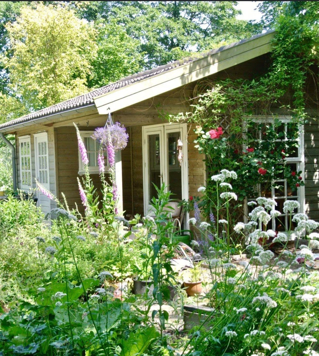 Gezocht volkstuin/moestuin met huisje, Hobby en Vrije tijd, Overige Hobby en Vrije tijd, Ophalen