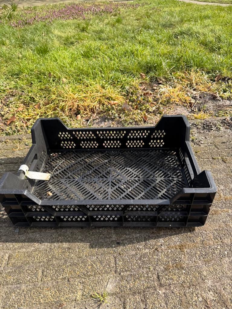 200 veenmankistesten laag, Tuin en Terras, Kweekspullen, Ophalen of Verzenden, Zo goed als nieuw