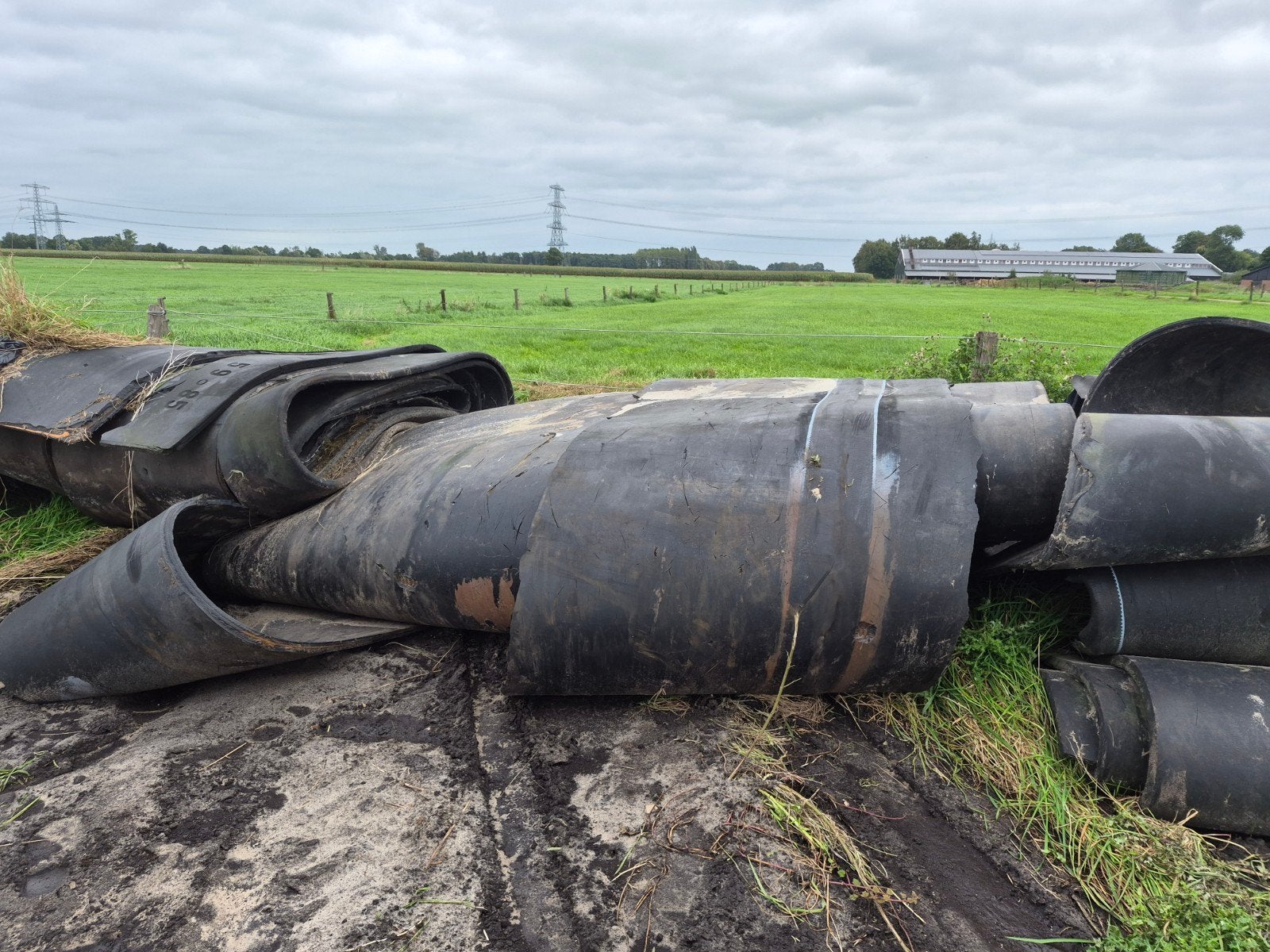 rubbermatten, Dieren en Toebehoren