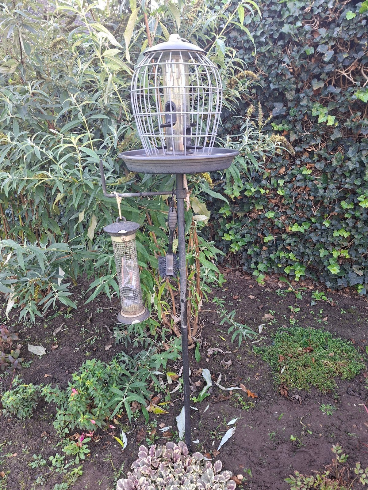 Vogelvoederhangers, Ophalen