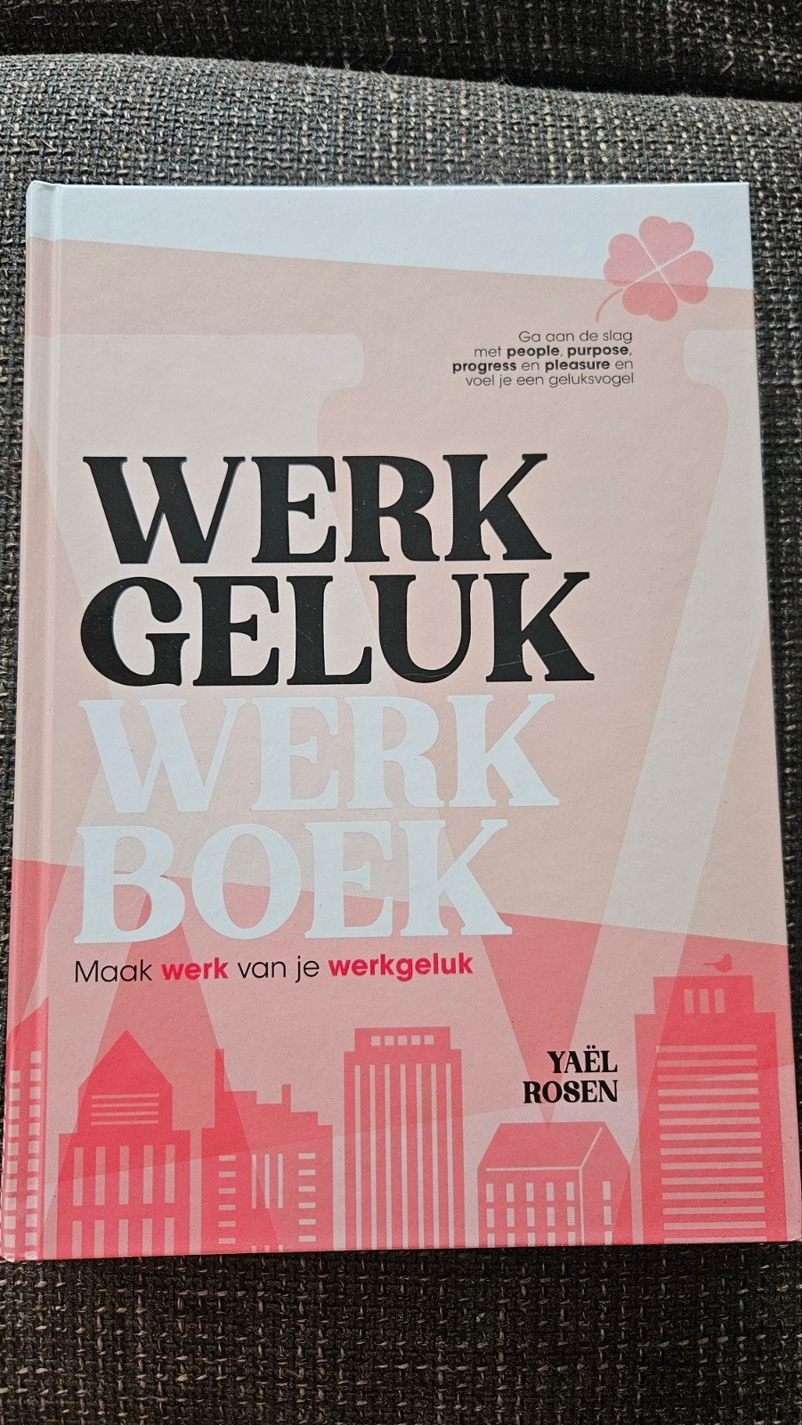 Yaël Rosen - werkboek, Boeken, Ophalen, Yaël Rosen, Ontwikkelingspsychologie, Zo goed als nieuw